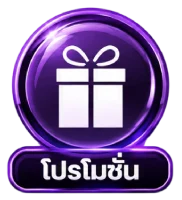 โปรโมชั่น
